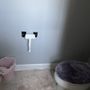Photo of Marisela’s Cleaning Services