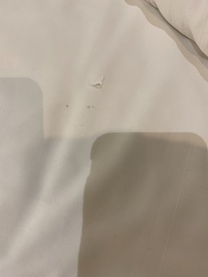 Residence Inn by Marriott Edinburgh by null