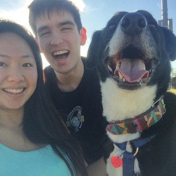 Pavlov Dog Training - Pet Training Near Me - Denver, Colorado Pavlov Dog Training - Pet Training Near Me - Denver, Colorado