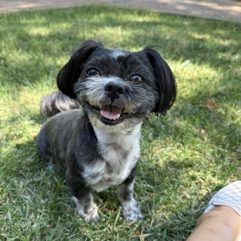 Dixie's Paws and Claws - Pet Stores Near Me - Woodland, California Dixie's Paws and Claws - Pet Stores Near Me - Woodland, California