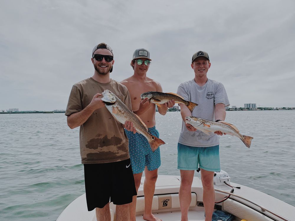 Finseekers Fishing Charters Logo