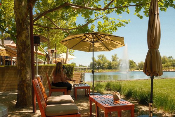 Alpha Omega Winery by null