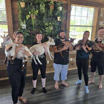 Alaska Farms - Yoga Near Me - Orlando, Florida Alaska Farms - Yoga Near Me - Orlando, Florida