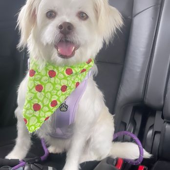 Preferred by Pets - Pet Groomers Near Me - San Diego, California Preferred by Pets - Pet Groomers Near Me - San Diego, California