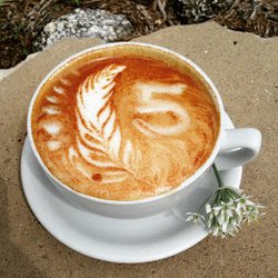 Gluten Free Restaurants In San Antonio Yelp