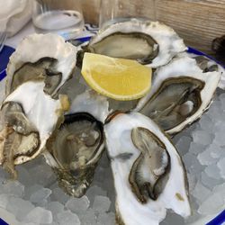 Scafùd - Oysters