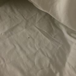 Hotel M & Conference Center, Morgantown - Unknown debris in bed