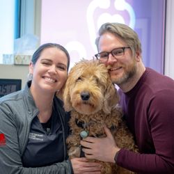 West Loop Veterinary Care - Streeterville - We are Fear-Free Certified!