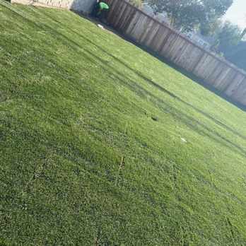 LTS Landscape Design + Build - 2500 sqft of grass - Landscaping Near Me - Corona, California