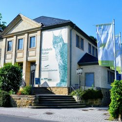 NationalparkZentrum Sächsische Schweiz - NationalparkZentrum Sächsische Schweiz in Bad Schandau