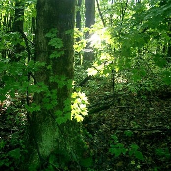 Hocking Hills State Park - Hiking Near Me - Logan, Ohio Hocking Hills State Park - Hiking Near Me - Logan, Ohio