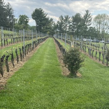 Boordy Vineyards - Wineries Near Me - Hydes, Maryland Boordy Vineyards - Wineries Near Me - Hydes, Maryland