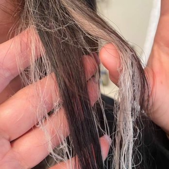 Best Cuts - Hair Salons Near Me - Federal Way, Washington Best Cuts - Hair Salons Near Me - Federal Way, Washington