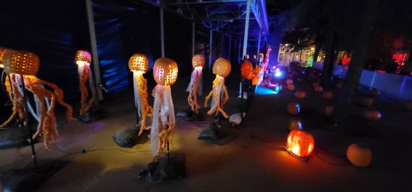 Frisco RoughRiders by null