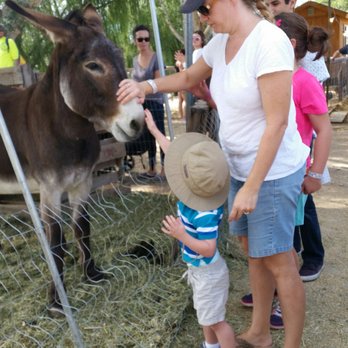 Mortimer Farms - Attraction Farms Near Me - Dewey, Arizona Mortimer Farms - Attraction Farms Near Me - Dewey, Arizona