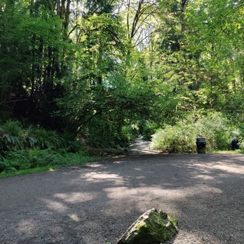 Ravenna Park - Beautiful natural tree arch. - Parks Near Me - Seattle, Washington Ravenna Park - Beautiful natural tree arch. - Parks Near Me - Seattle, Washington
