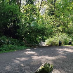 Ravenna Park - Beautiful natural tree arch.
