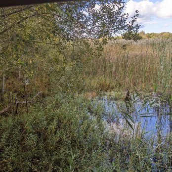 Mass Audubon Daniel Webster Wildlife Sanctuary - Pond from bird blind - Landmarks & Historical Buildings Near Me - Marshfield, Massachusetts Mass Audubon Daniel Webster Wildlife Sanctuary - Pond from bird blind - Landmarks & Historical Buildings Near Me - Marshfield, Massachusetts