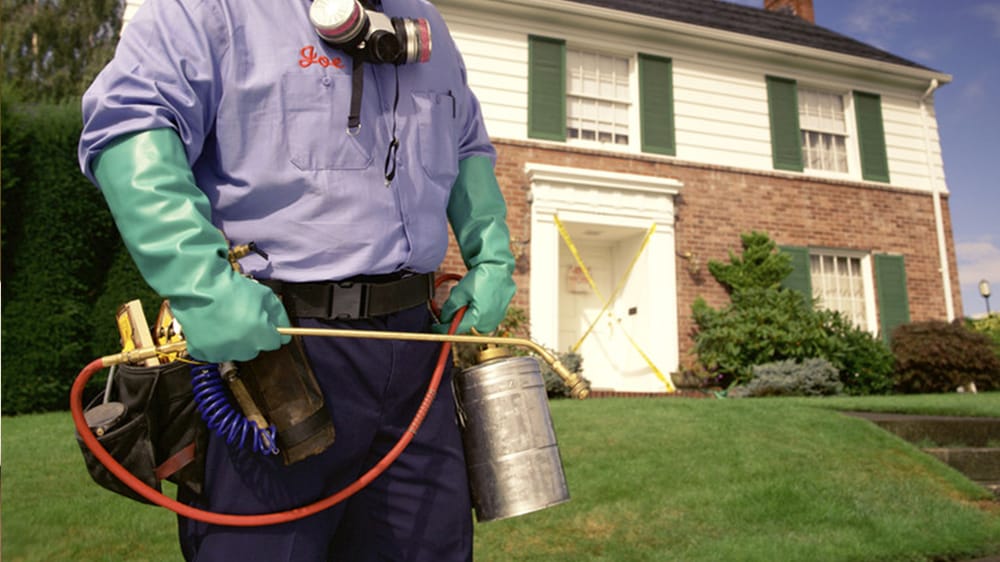 STATELINE PEST CONTROL Updated August 2024 5 Renwood Ct, New City