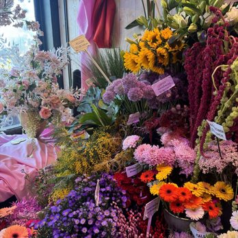 Steve's Flower Market - Florists Near Me - Chicago, Illinois