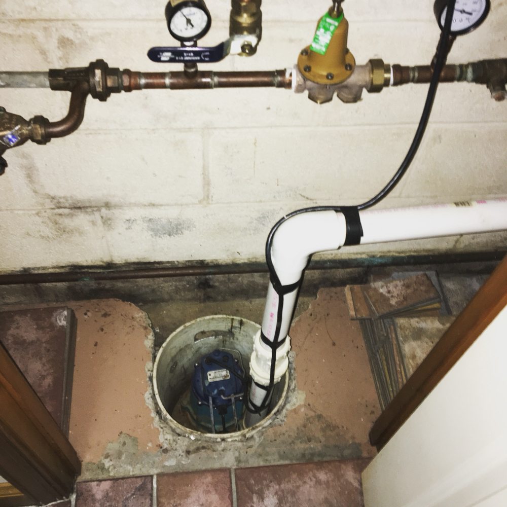 Slide of David R White