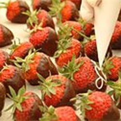The Chocolate Tree - Courtesy of Chocolate Tree Website