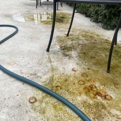 Maximum Realty & Property Management - Pool area with algae