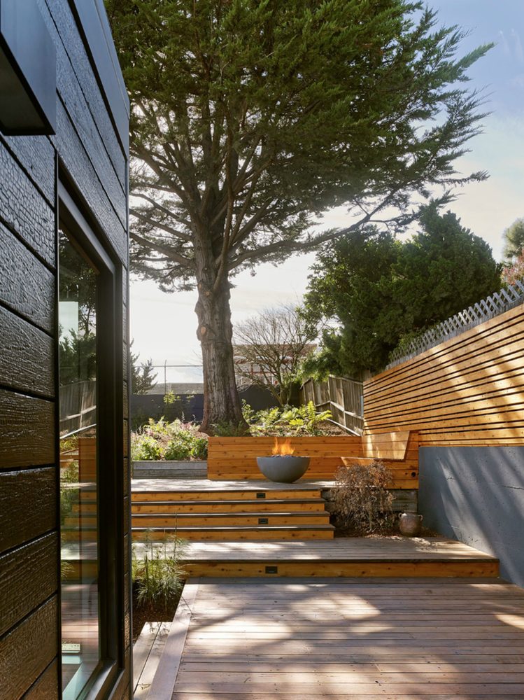 CC Tree Design - tree service in San Francisco, CA