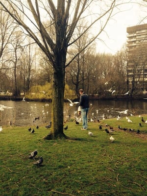 Oosterpark Amsterdam by null