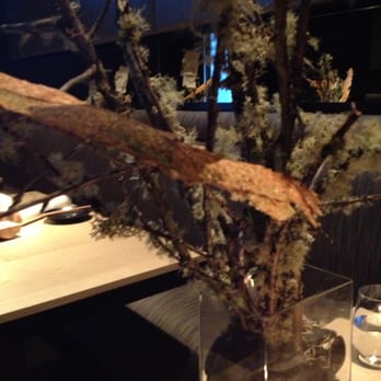 Next - Reindeer Lichen - New American Near Me - Chicago, Illinois