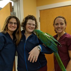 Noank -Mystic Veterinary Hospital