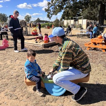 Team Family Farm - Pumpkin Patches Near Me - Aubrey, Texas Team Family Farm - Pumpkin Patches Near Me - Aubrey, Texas