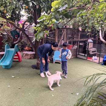 Elba's Daycare - Child Care & Day Care Near Me - Milpitas, California Elba's Daycare - Child Care & Day Care Near Me - Milpitas, California