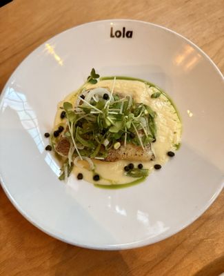 Lola by null