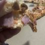 Photo of Giant Pizza & Deli