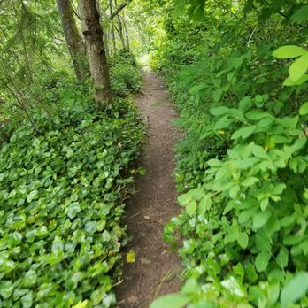 Franklin Ghost Town - Parts of the trail run right along the edge of a sharp decline - Hiking Near Me