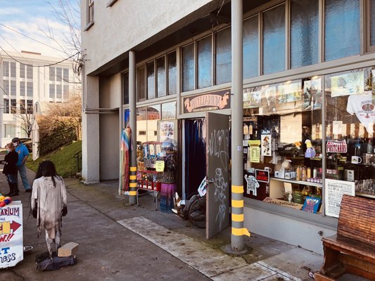 The Freakybuttrue Peculiarium and Museum by null