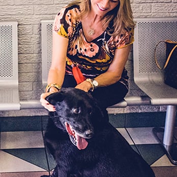 Abilene Veterinary Clinic - Pet Groomers Near Me - Abilene, Texas Abilene Veterinary Clinic - Pet Groomers Near Me - Abilene, Texas