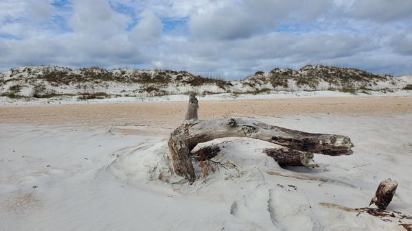 Anastasia State Park by null