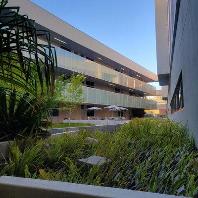 Palomar College by null