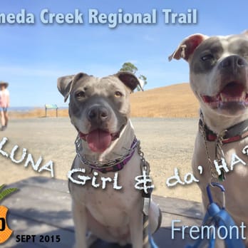 Alameda Creek Trail - "We're ready for our close up, Mr. DeMille." - Hiking Near Me - Fremont, California Alameda Creek Trail - "We're ready for our close up, Mr. DeMille." - Hiking Near Me - Fremont, California
