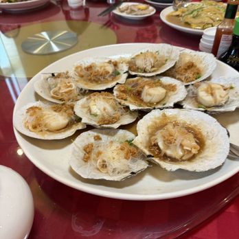 粤皇鼎海鲜会所 - scallops - Seafood Near Me - Point, New York 粤皇鼎海鲜会所 - scallops - Seafood Near Me - Point, New York