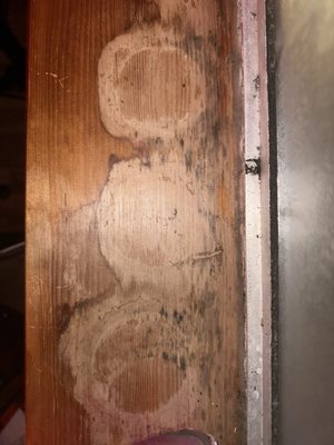 Regency Property Management