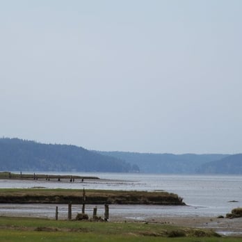 Theler Wetlands - Walking the Wetlands... - Hiking Near Me - Belfair, Washington Theler Wetlands - Walking the Wetlands... - Hiking Near Me - Belfair, Washington