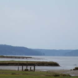 Theler Wetlands - Walking the Wetlands...