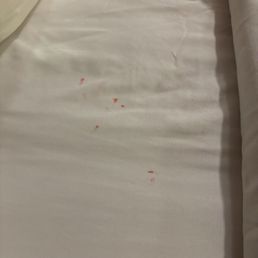 Blood