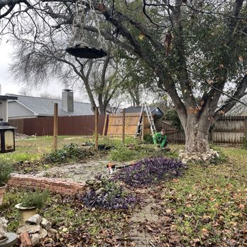 Dapper Tree Service - Joe and his team hard at work in a wet cold day taking down this old (1979) Ash that is dying and becoming a hazard. - Tree Services Near Me - Cibolo, Texas