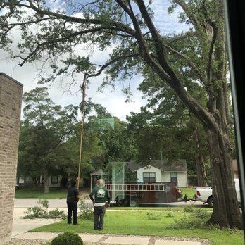 Maintenance Warriors Landscaping - Cutting limbs - Landscaping Near Me Maintenance Warriors Landscaping - Cutting limbs - Landscaping Near Me