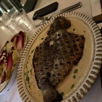 Ilya Restaurant - Branzino - Mediterranean Near Me - San Clemente, California Ilya Restaurant - Branzino - Mediterranean Near Me - San Clemente, California