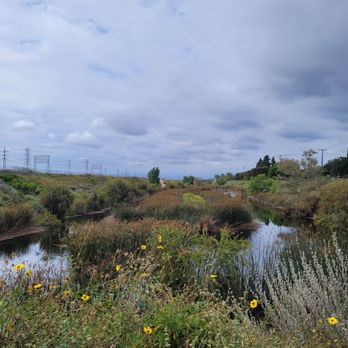 Dominguez Gap Wetlands Project - Hiking Near Me